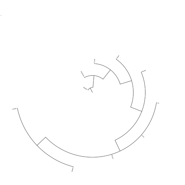 File:RFT itol try.svg